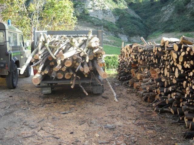 Furti di legname sul Gargano, prosegue il lavoro della Forestale