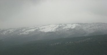 Maltempo: prima neve sul Gargano