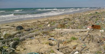 Bosco-Isola, il progetto di pulizia della spiaggia