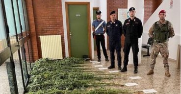 Sequestro di piantagione di Marijuana località San Cristoforo