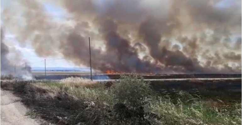 Incendio nei terreni della Asp Zaccagnino