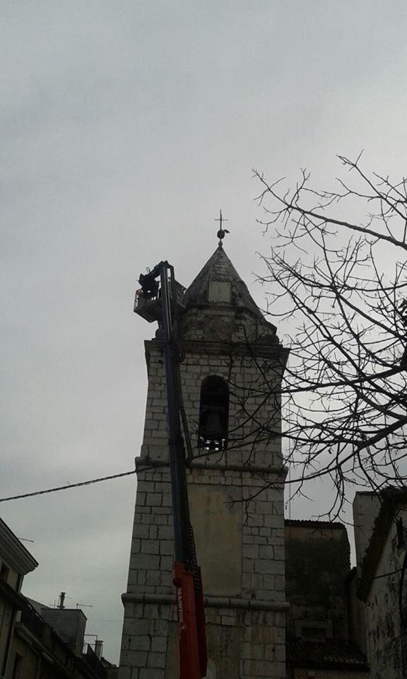 Rimosso l'albero di fico sul campanile della Chiesa Madre