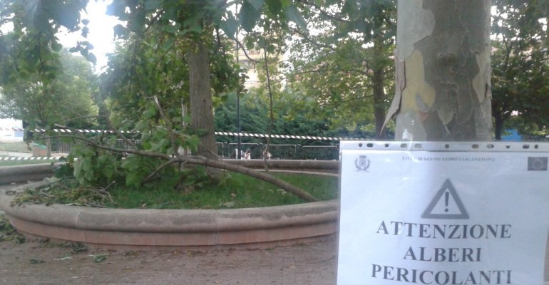 Si stacca ramo al Parco San Michele, nessun danno