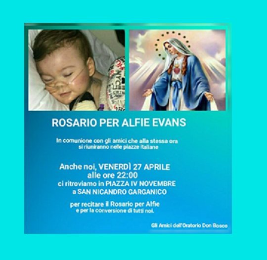Questa sera un rosario per Alfie Evans
