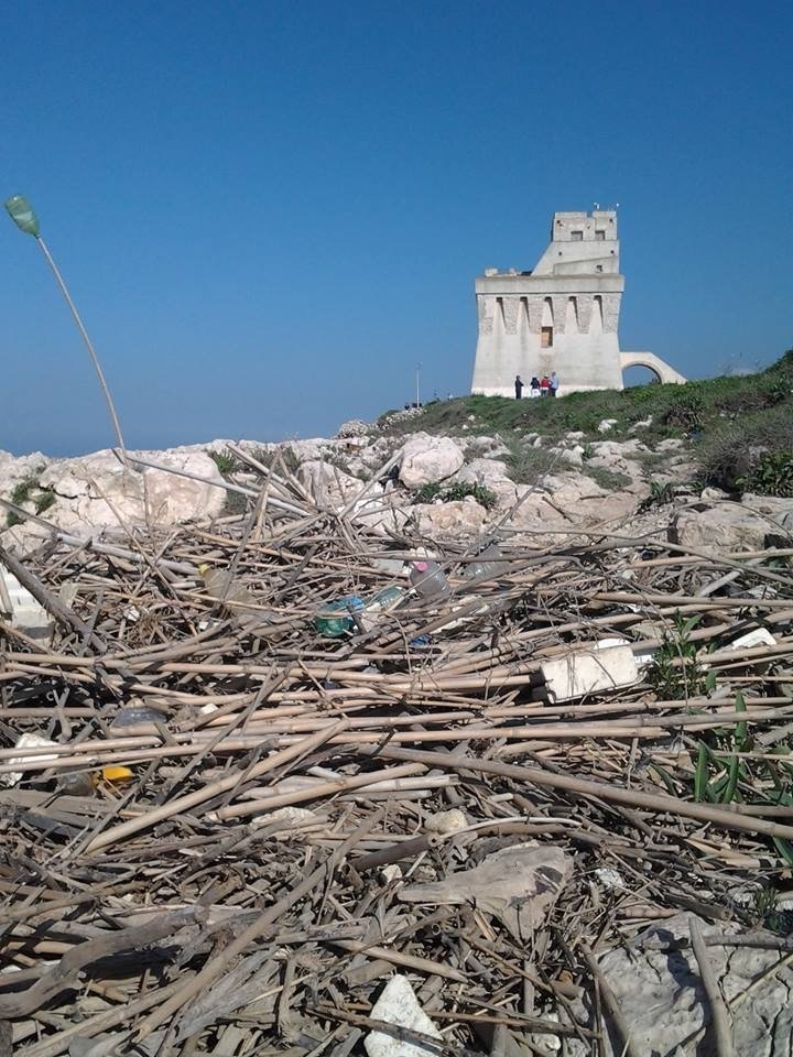 Domani a Torre Mileto “Spiagge pulite” di Legambiente