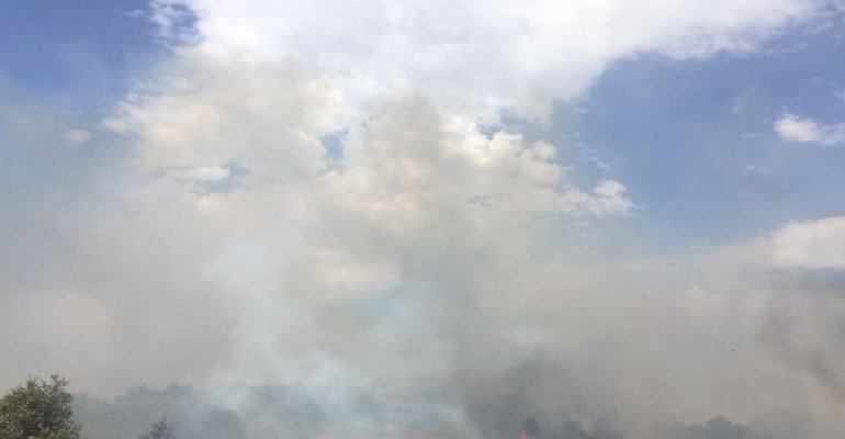 San Nicandro circondata da incendi: è emergenza