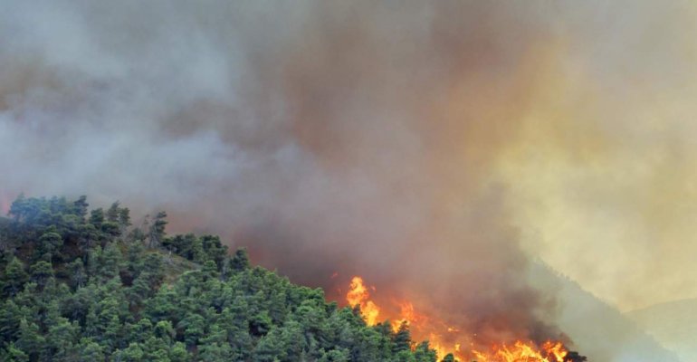 Incendi boschivi, emanato decreto regionale