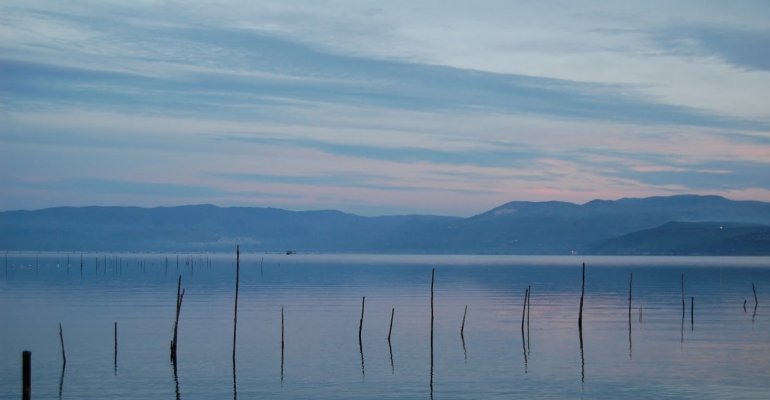 Il Lago di Varano in condizioni drammatiche