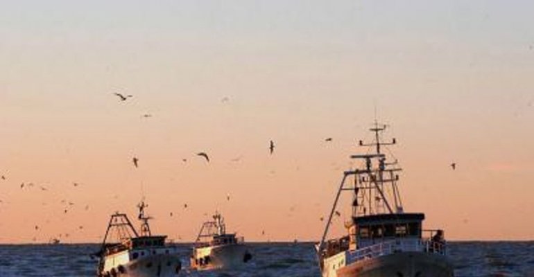 Scatta il fermo biologico, stop a pesce fresco in Adriatico