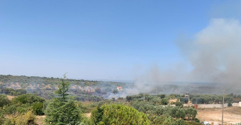 Grosso incendio in località Pilarossa