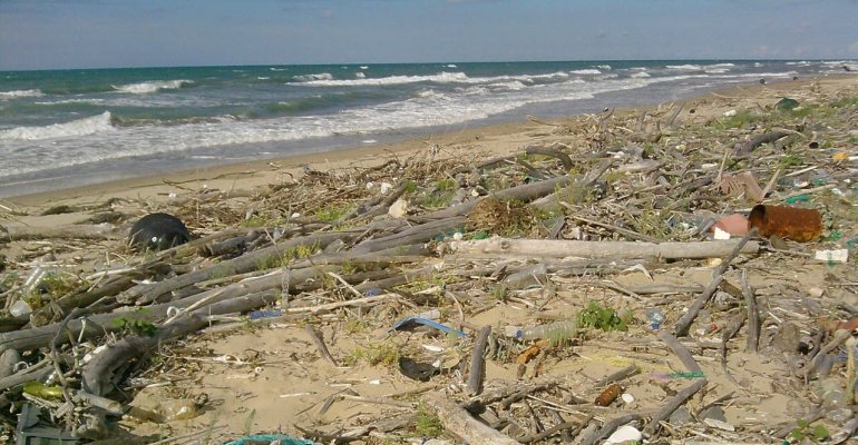 Bosco-Isola, il progetto di pulizia della spiaggia