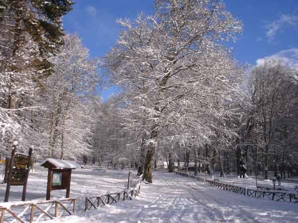Arriva la prima neve sul Gargano